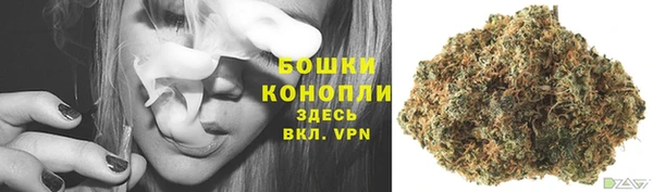 шишки Покровск