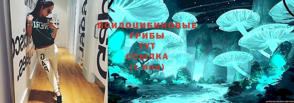 винт Аркадак