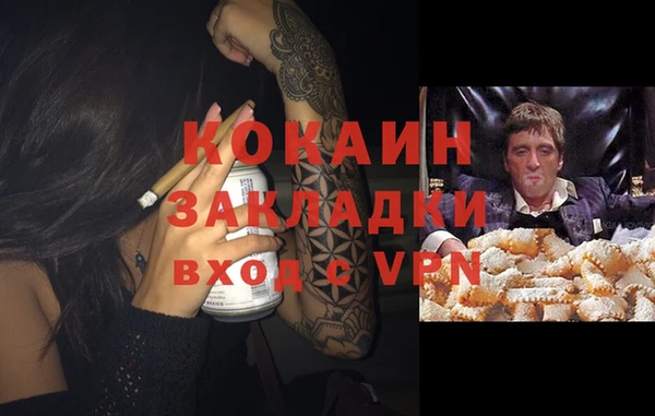 спиды Арсеньев