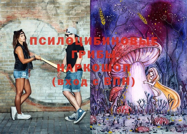 спиды Арсеньев