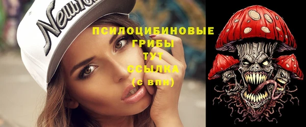 спиды Арсеньев