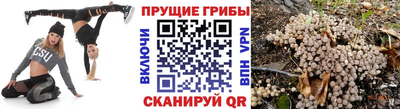 даркнет сайт  Малоархангельск  ссылка на мегу tor  Галлюциногенные грибы Magic Shrooms 
